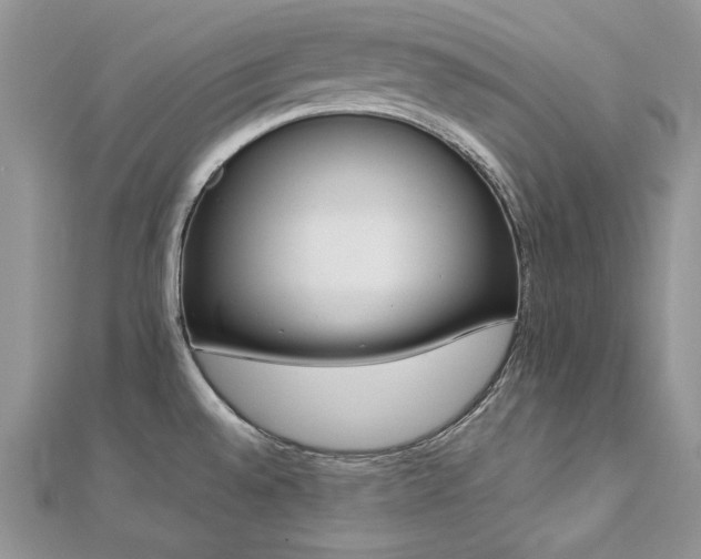 X0000113141528200909041157