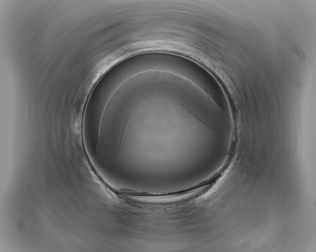 X0000113141529200909041157
