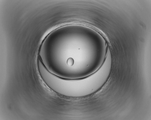 X0000113141530200909041157