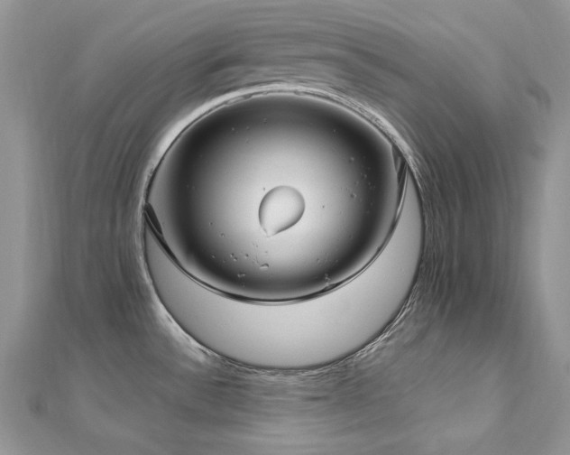 X0000113141532200909041158