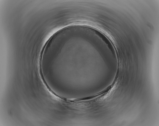 X0000113141533200909041158