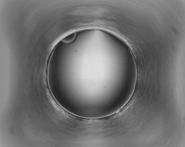 X0000113141534200909041158