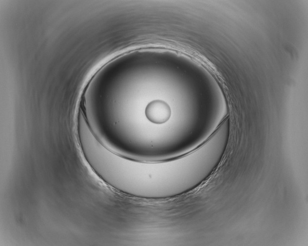 X0000113141536200909041158