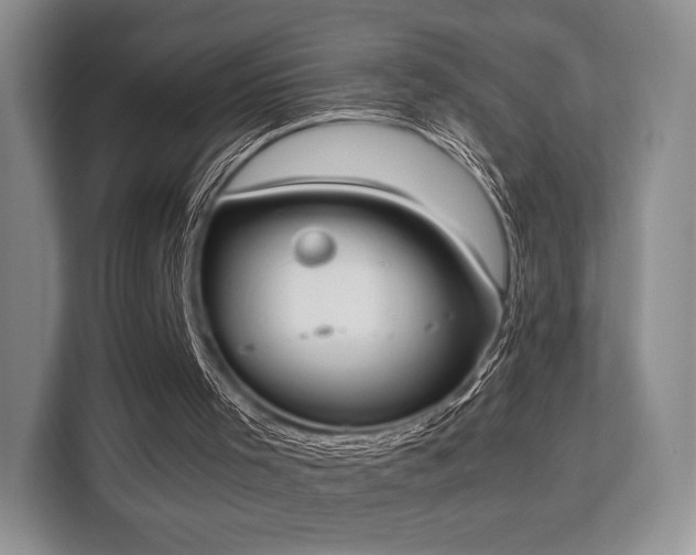 X0000113140001200909110943