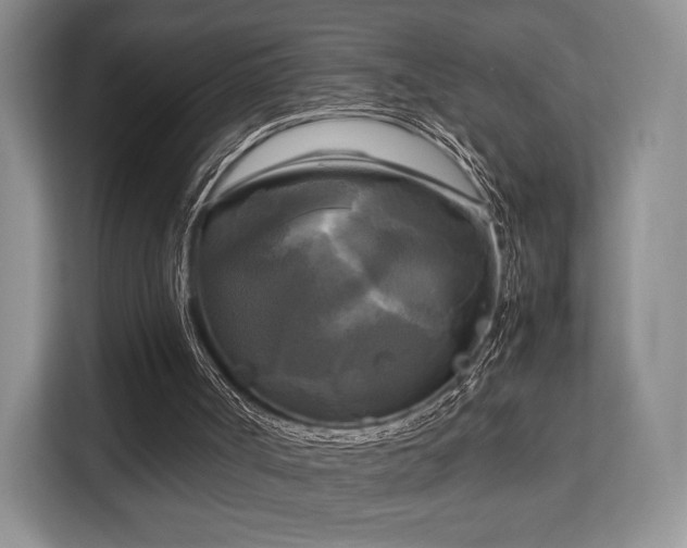 X0000113140002200909110943