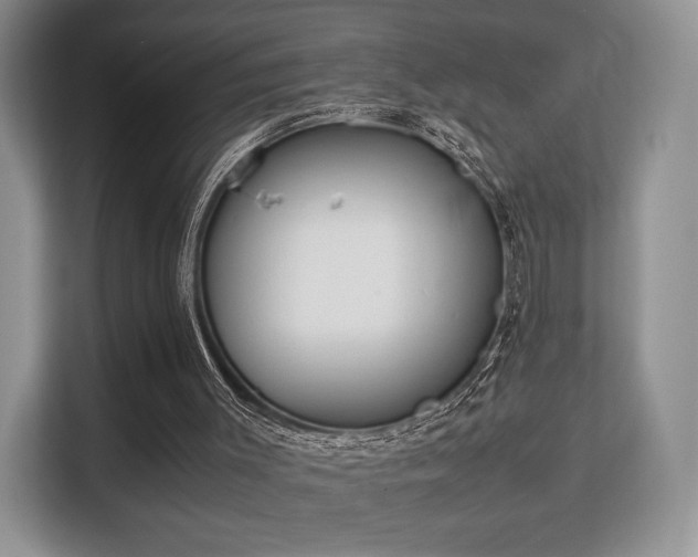 X0000113140003200909110943