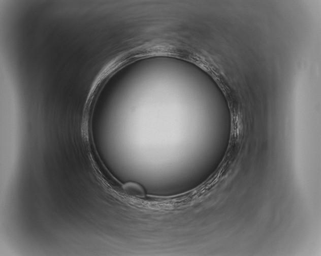 X0000113140004200909110943