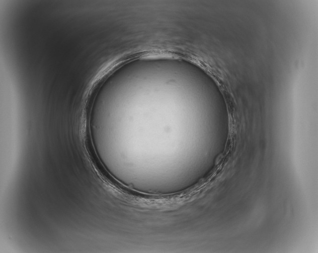 X0000113140005200909110943