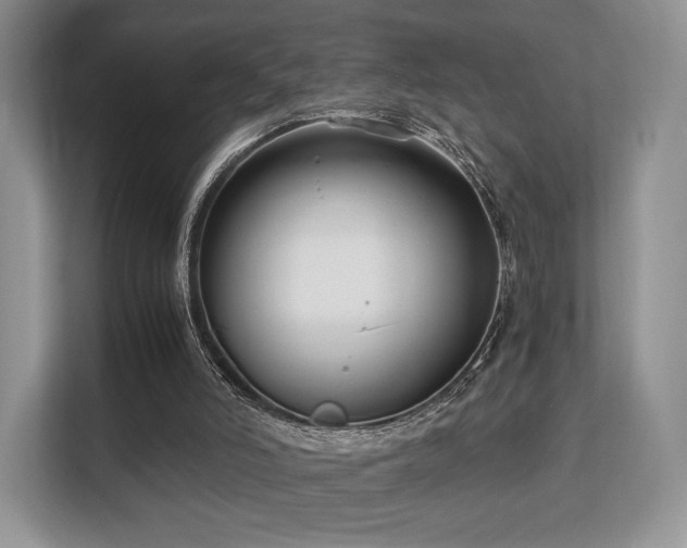 X0000113140006200909110943