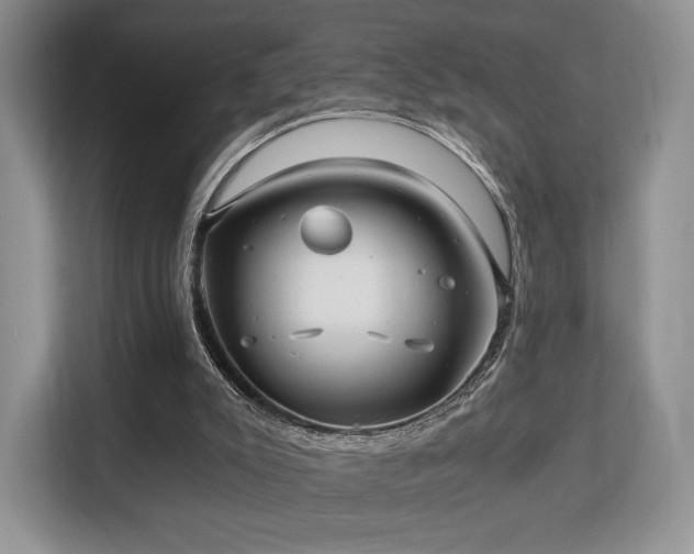 X0000113140007200909110943