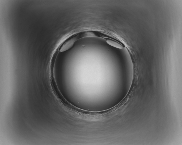 X0000113140008200909110943