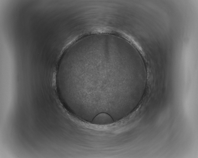 X0000113140010200909110943