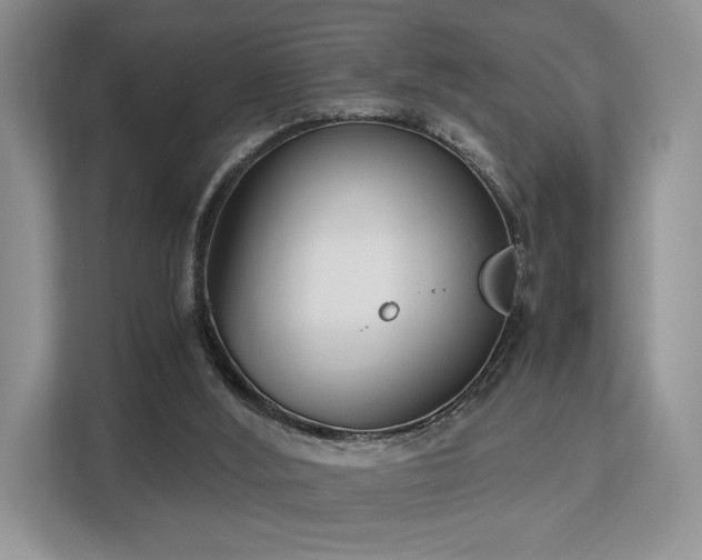 X0000113140012200909110943