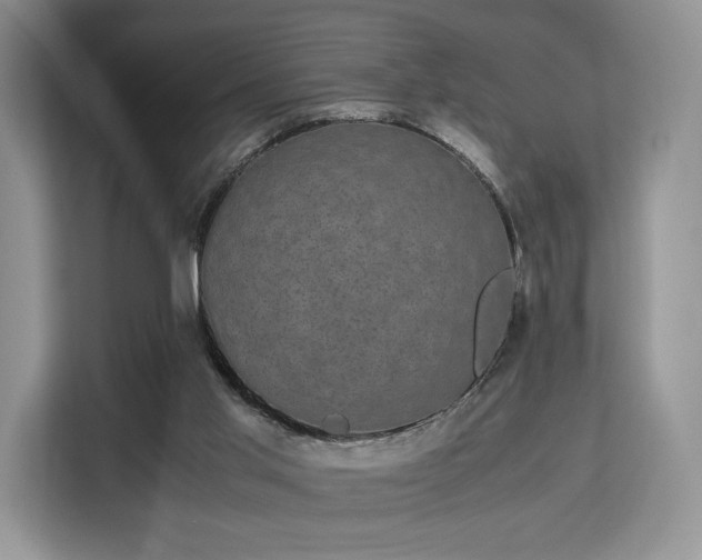 X0000113140013200909110943