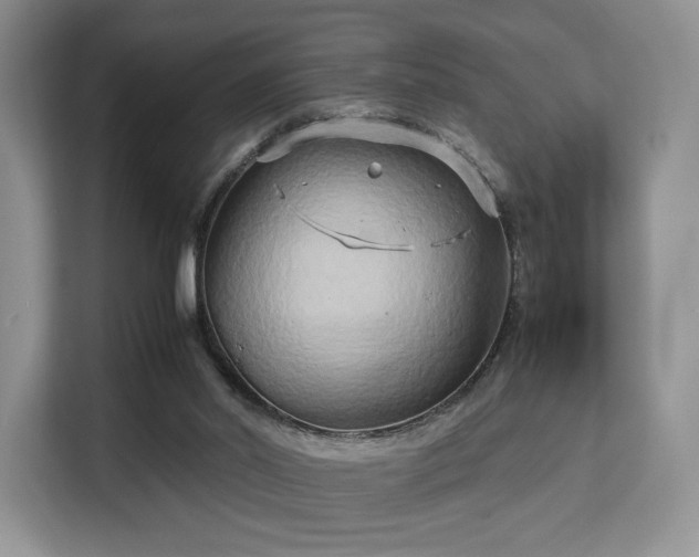 X0000113140014200909110943