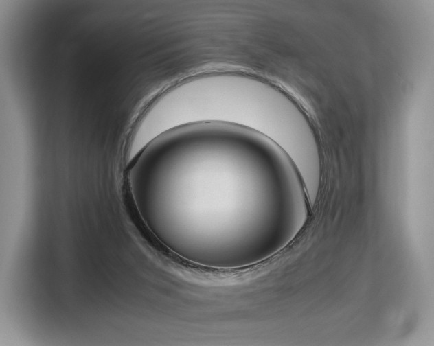 X0000113140015200909110943