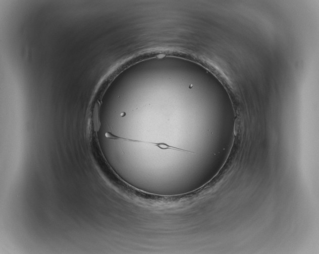 X0000113140016200909110943