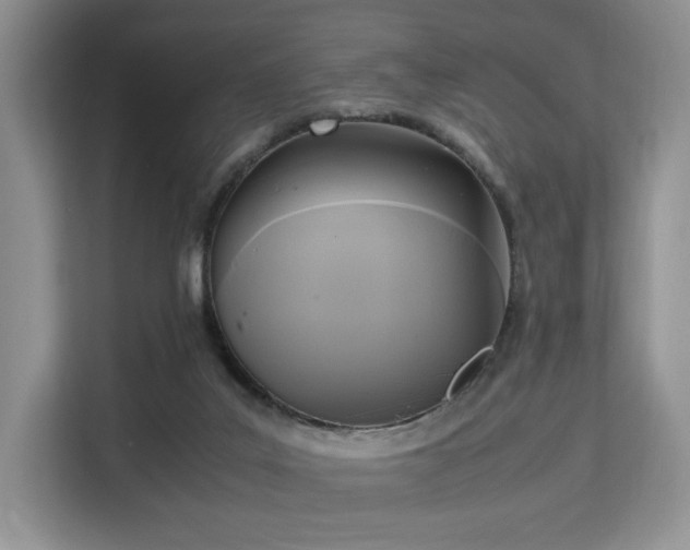 X0000113140019200909110943