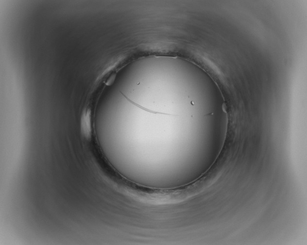 X0000113140020200909110943