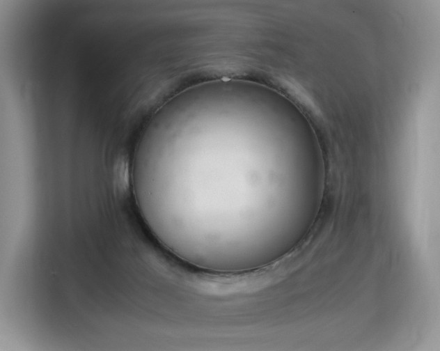 X0000113140021200909110943