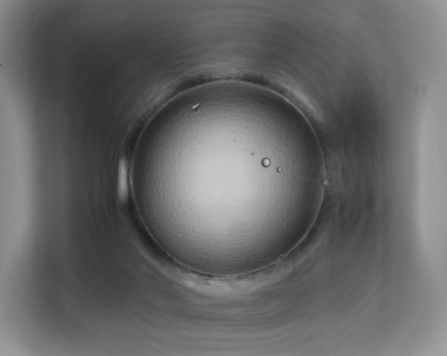 X0000113140022200909110943