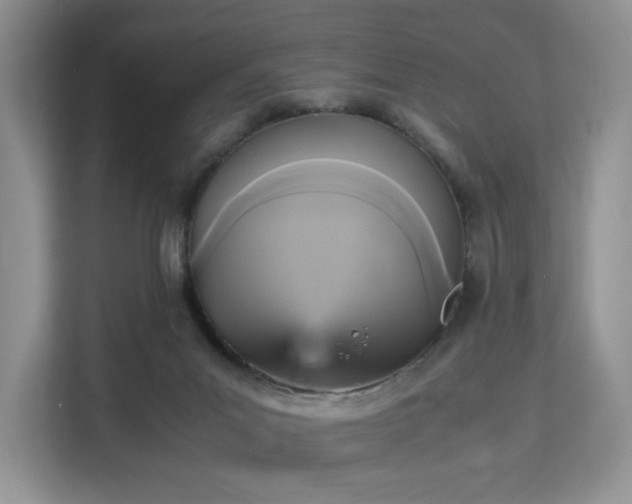 X0000113140023200909110943