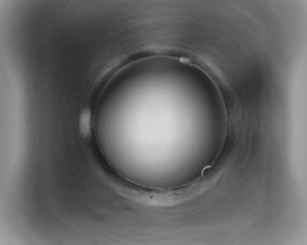 X0000113140024200909110943