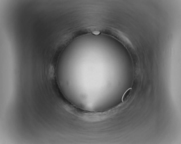 X0000113140025200909110943