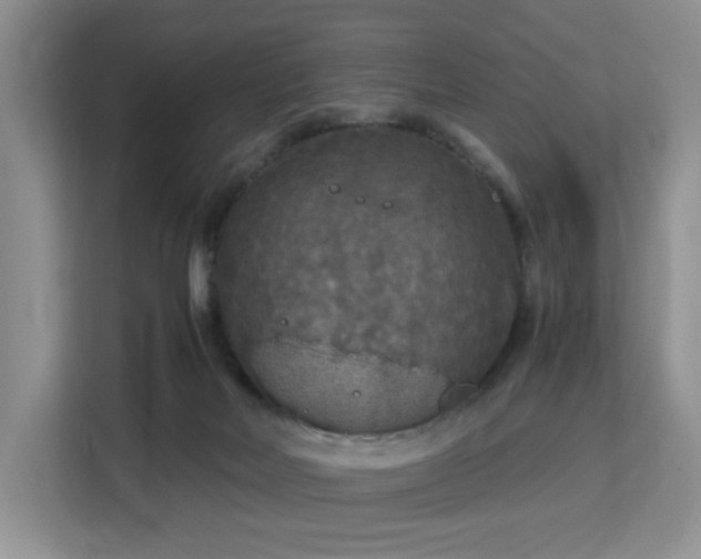 X0000113140026200909110943