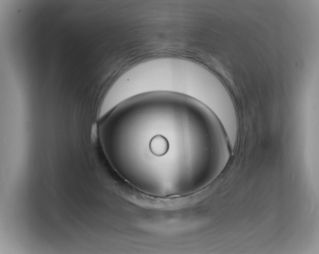 X0000113140027200909110943