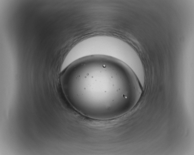 X0000113140029200909110943