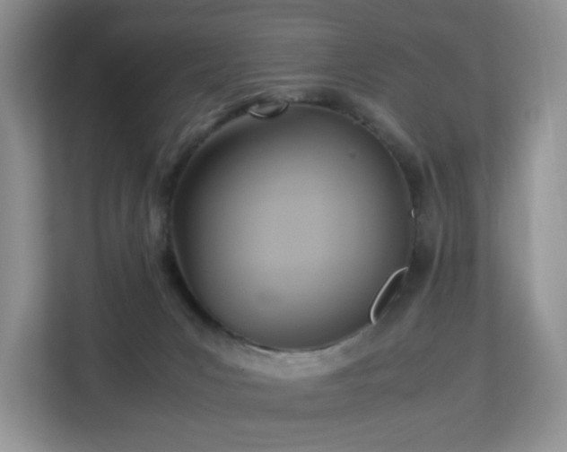 X0000113140031200909110943