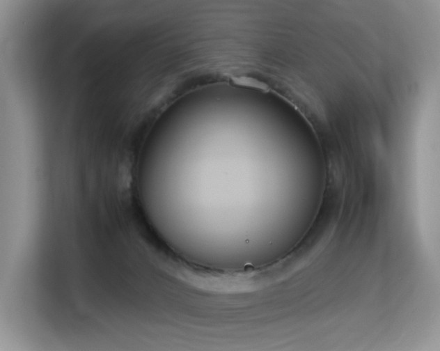 X0000113140032200909110943