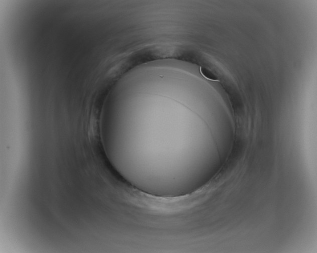 X0000113140035200909110943