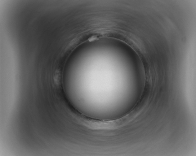 X0000113140036200909110943