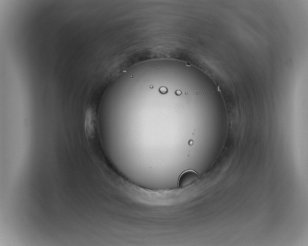 X0000113140038200909110943