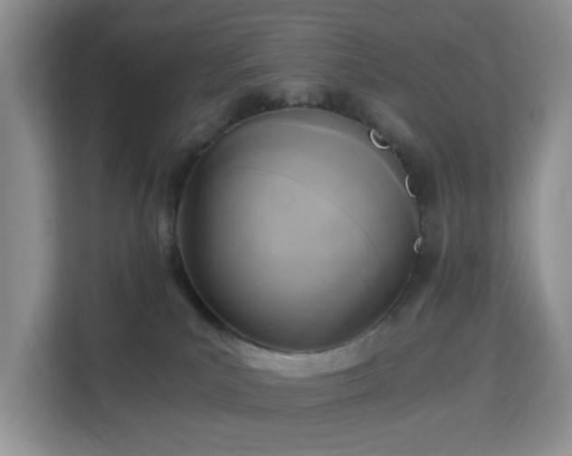 X0000113140039200909110943