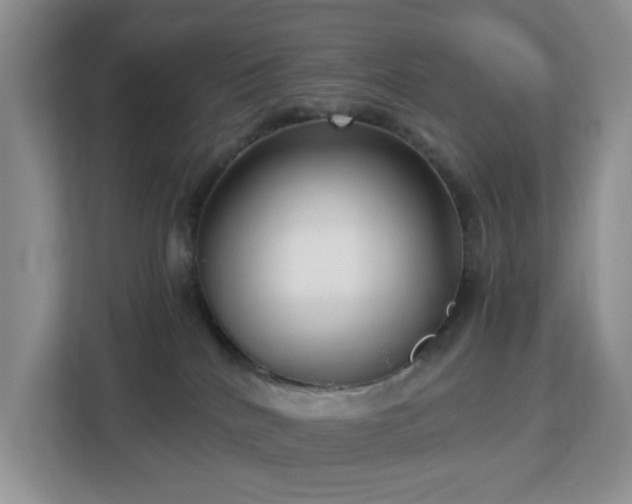 X0000113140040200909110943