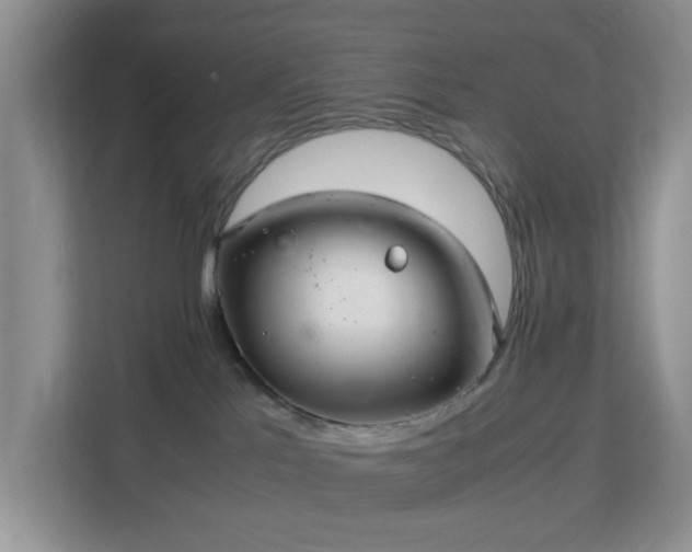 X0000113140041200909110943