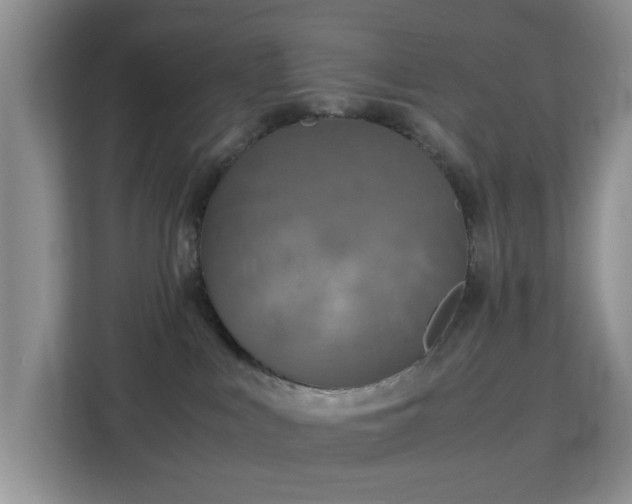 X0000113140043200909110943