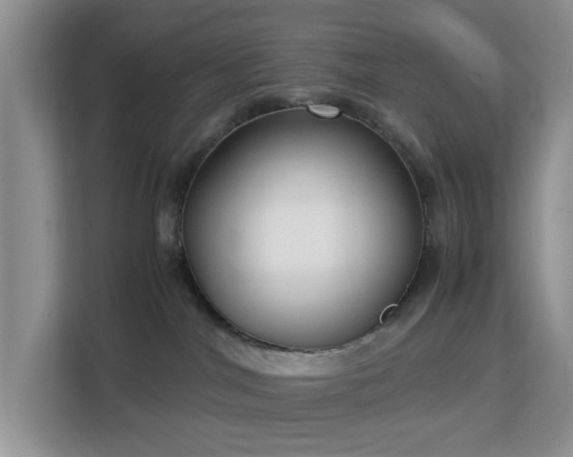 X0000113140044200909110943