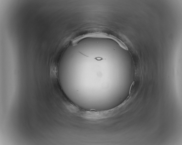 X0000113140045200909110943