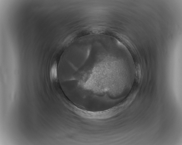 X0000113140046200909110943