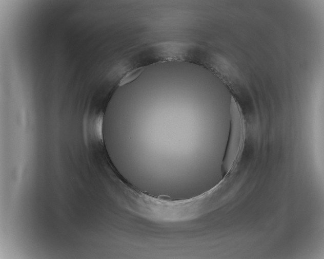 X0000113140047200909110943