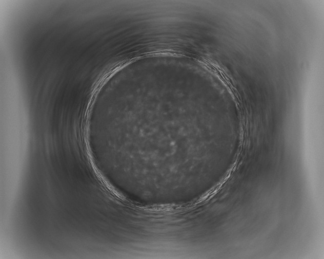 X0000113140049200909110942