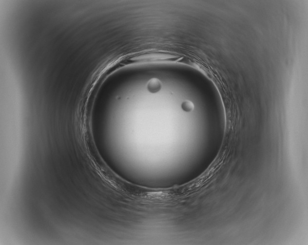 X0000113140050200909110942