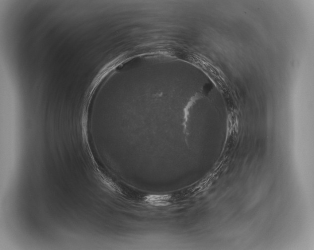 X0000113140051200909110942