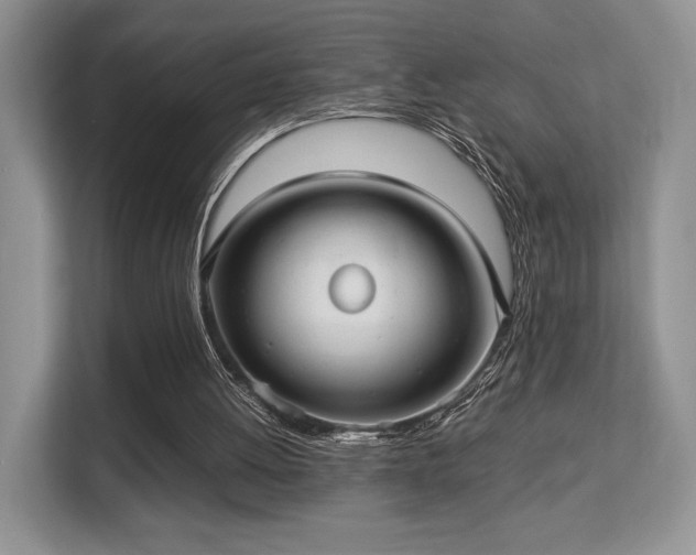 X0000113140052200909110942