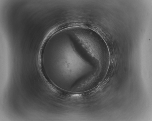 X0000113140053200909110942