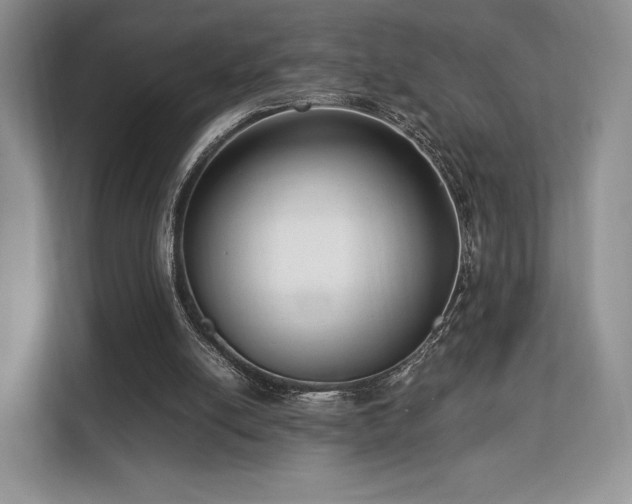 X0000113140054200909110942